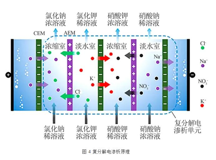 圖片31