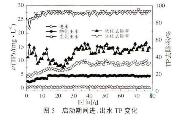 圖片12