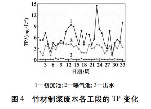 圖片10