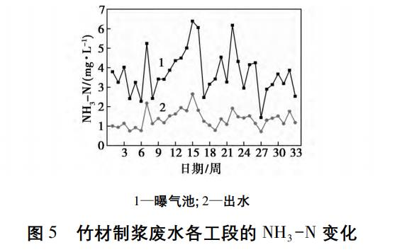 圖片11