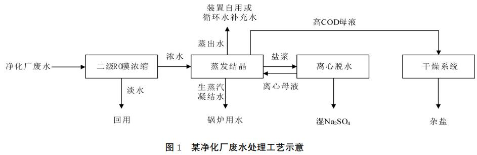 圖片19